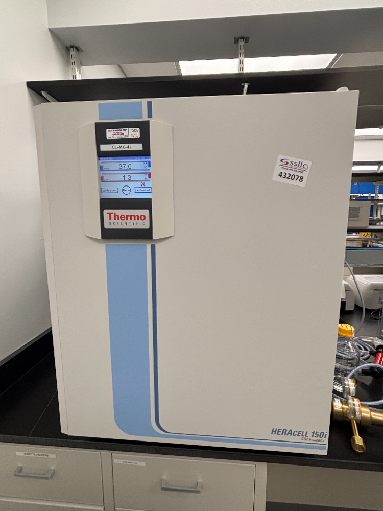 Image of Thermo HERACELL 150 GP INCUBATOR